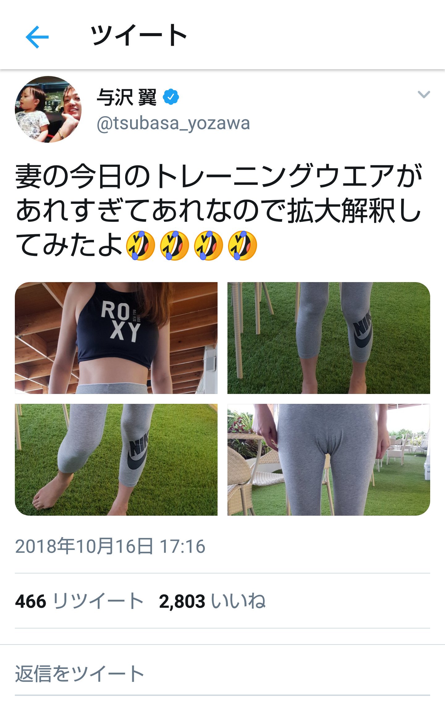 たたかわないアスカハニー ブロックされてる人用の嫁キャメルトゥです