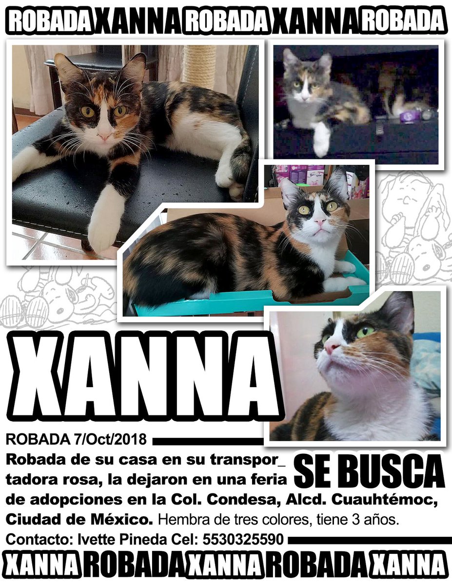 #ROBADA Xanna Col #Condesa Alcd #Cuauhtémoc #CDMX Oct 2018