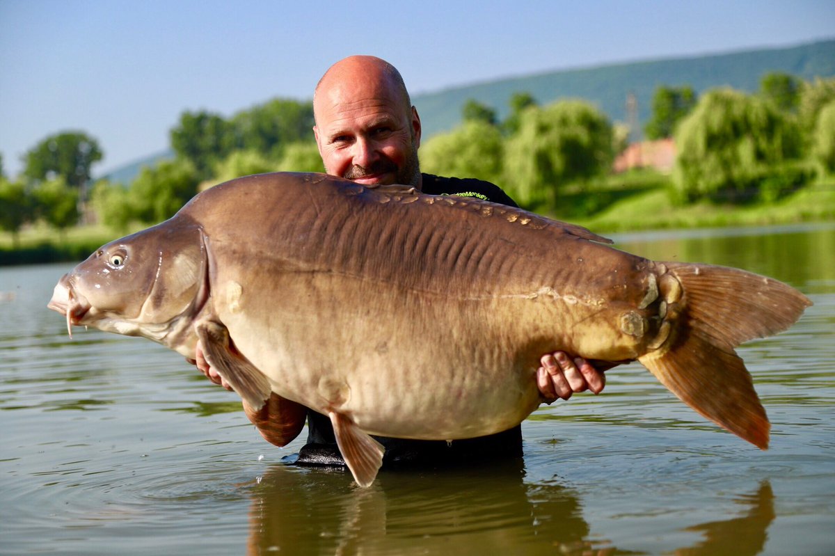 Dave Levy tweet media