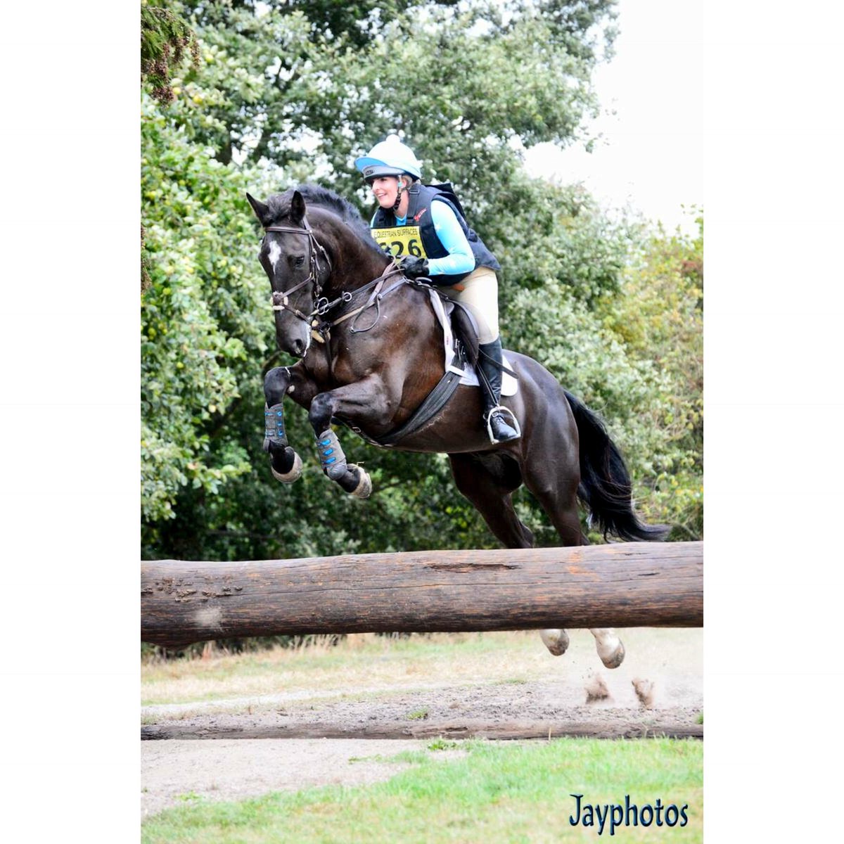 AP EQUINE REVIEWS (@apequine) on Twitter photo 