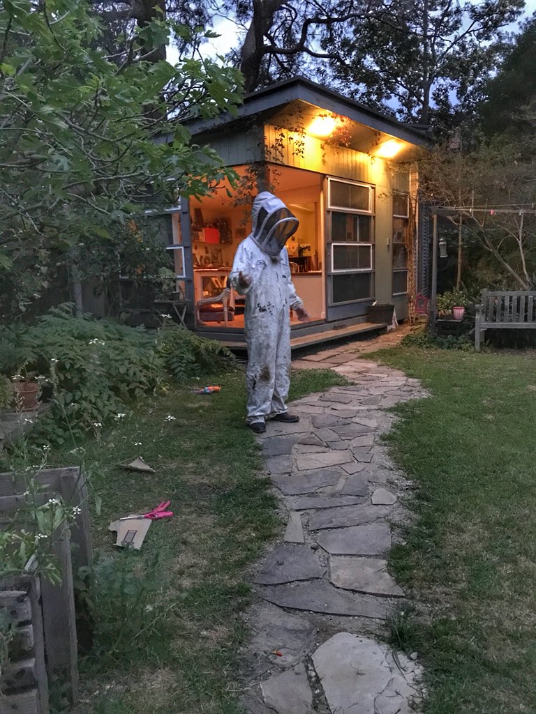 booksontheshelf's tweet photo. A beekeeper arrived in the garden last night, to take a swarm off to the fecund plains of Cranbourne #swarm #backyard #studiobees #beelife https://t.co/STK140TPsW