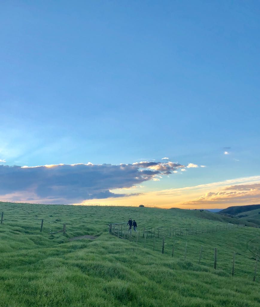 CMRBglobal's tweet photo. Friday feels ~ Where will your weekend take you....or where will you take your weekend? Make it magical #cmrb #cmrbexplore https://t.co/IZ5M8tNtBZ
