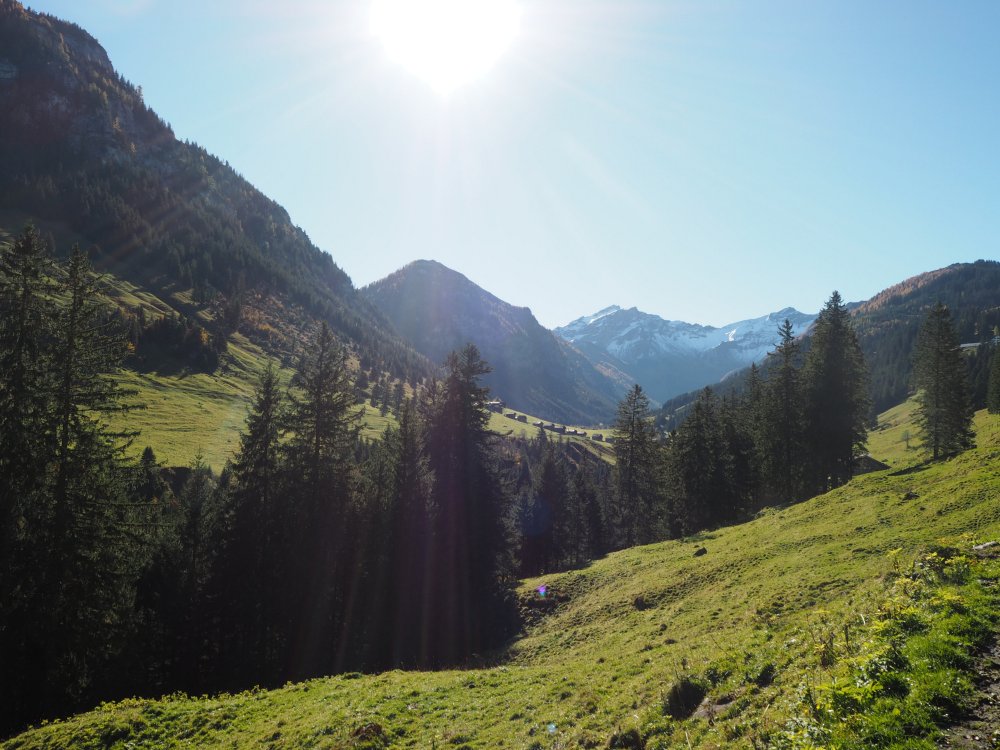 LI_Travel's tweet image. #Wandertipp: Eine Tour durch das Saminatal ist besonders im Herbst ein ganz besonderes Erlebnis. Die Blätter rascheln, die Samina rauscht und durch die bunt verfärbten Baumspitzen blinzelt die Herbstsonne durch. #fallingforfall tourismus.li/lie/tour/Durch…