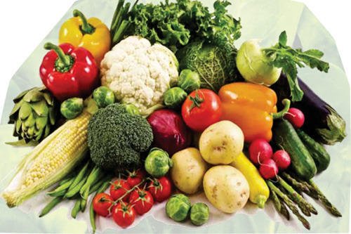 bag_veg's tweet photo. The easiest diet is, you know, eat vegetables, eat fresh food. Just a really sensible healthy diet like you read about all the time.
https://t.co/DSg0wHxCiv https://t.co/h8zLmomA0c