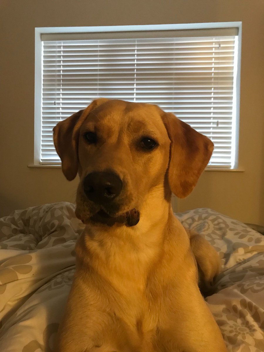Good morning daddy think it’s time for my walk on the beach 😍😍