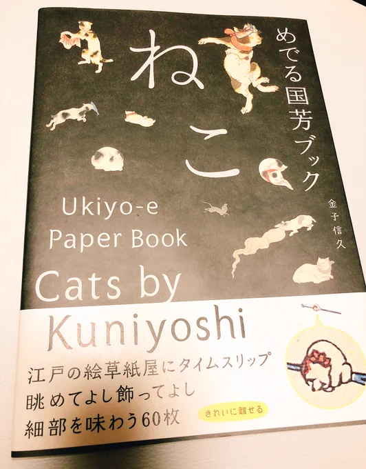 国芳先生のねこ絵だけの本…最高でした…！切り取り飾ることを前提とした装丁、紙質…！
そしてやっぱり国芳先生の描く猫ちゃんと発想が大好きです??猫愛が細部から伝わってきます 