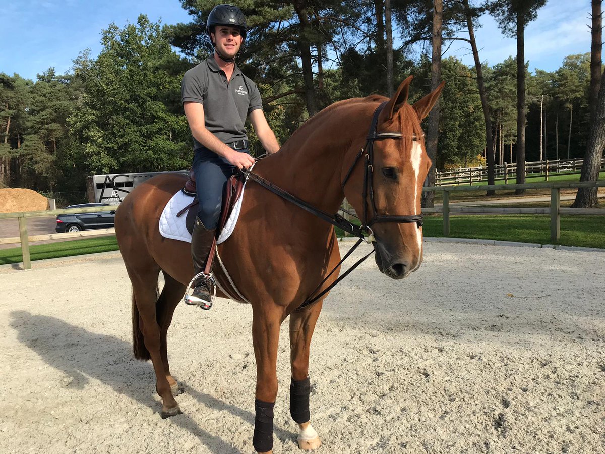 hutton_sam's tweet photo. #ad #brandambassador #sponsor Loving my new stirrups from Flex-on UK and proud to be appointed one of their ambassadors.  They are so sleek and stylish and really comfortable to ride in #HorseHour https://t.co/Zbr8qQIwVH