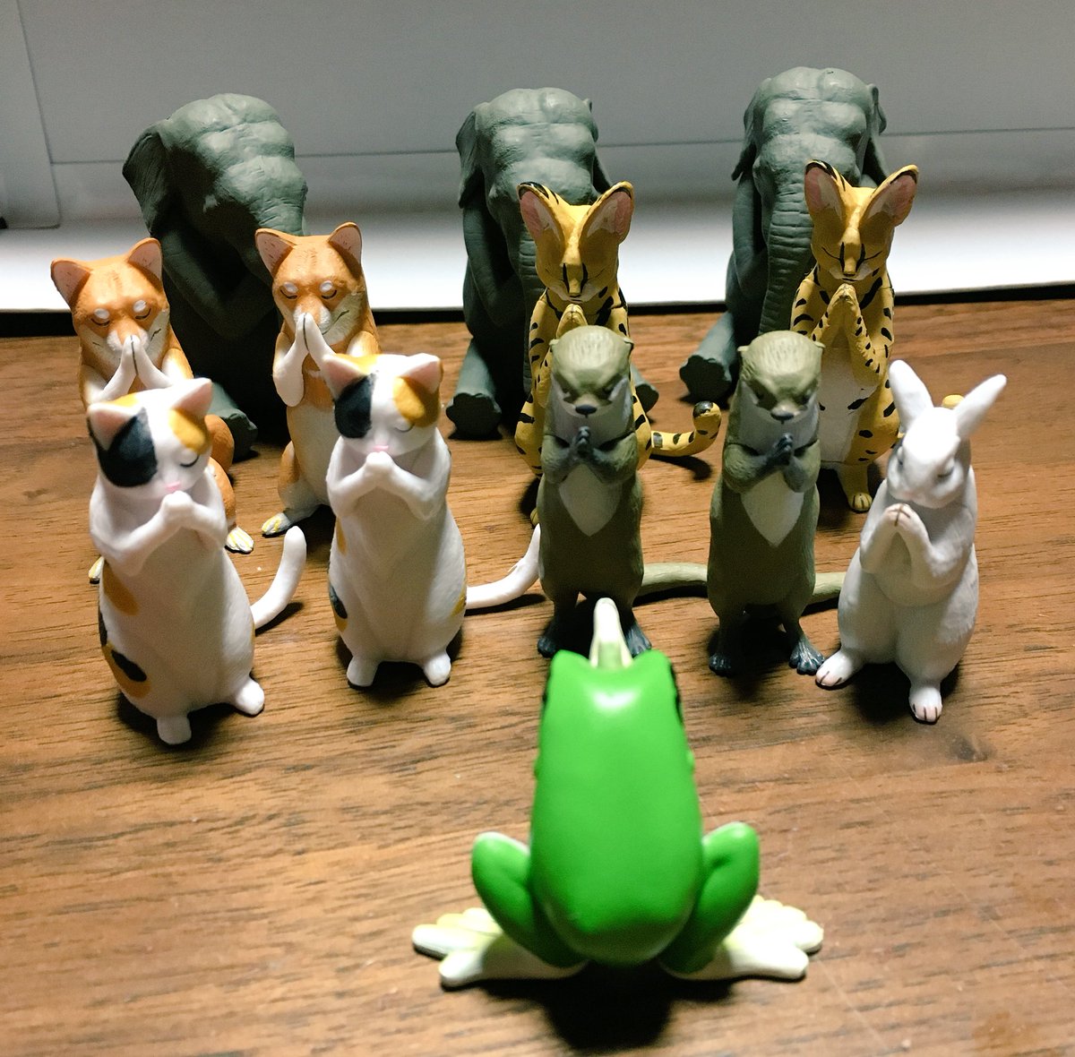 カプセルトイの合掌してるカエルが欲しくて回し続けたらこうなった 待って何これ ちょっとした宗教団体 Togetter カプセルトイの合掌してるカエルが欲しくて回し続けたらこうなった 待って何これ ちょっとした宗教団体 Togetter