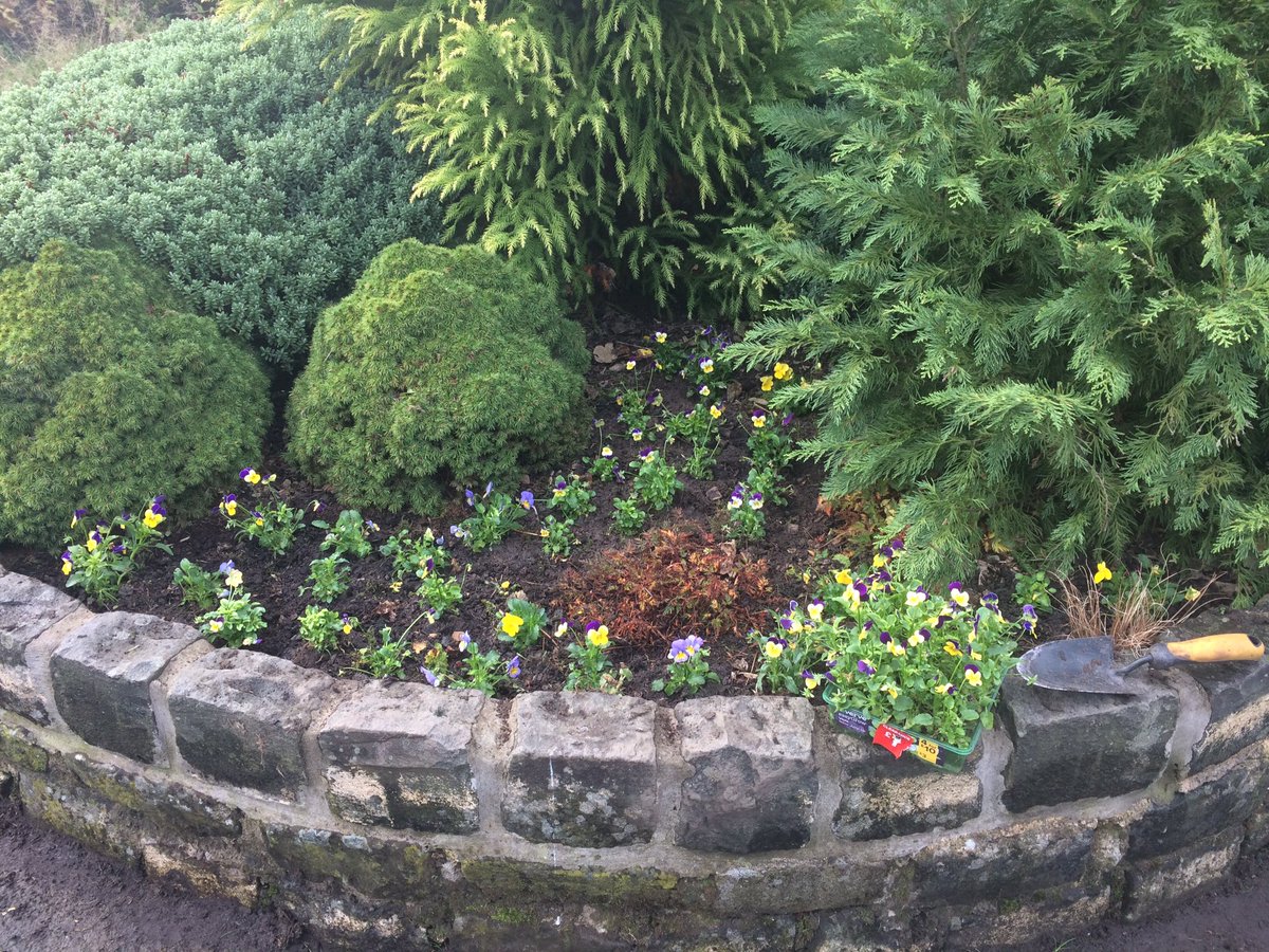 shephard_mark's tweet photo. Weeding golf club planters & using money raised by #volunteers to buy & plant flowers in #Paisley #BarshawPark #FriendsofBarshawPark β€ #gardens #GardenersWorld β€ https://t.co/RF443ncF5k