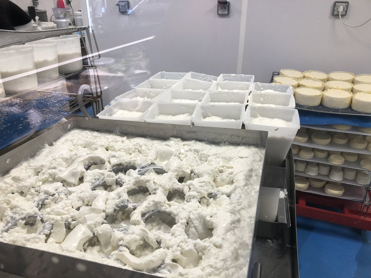 JoachimDelpech's tweet photo. Je viens d’acheter mon fromage, mon beurre et mon lait de la semaine à la #laiteriedeparis ! Et tout y est troooooop bon ! Grâce à eux, l’#agricultureurbaine se développe encore plus à @Paris ! Tous #Parisculteurs ! Plus d’info : https://t.co/ZN8Xsqr8mJ https://t.co/mPxyndODyl