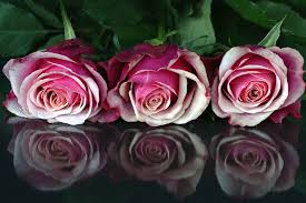 hello everyone I love you a lot ♥♥♥
