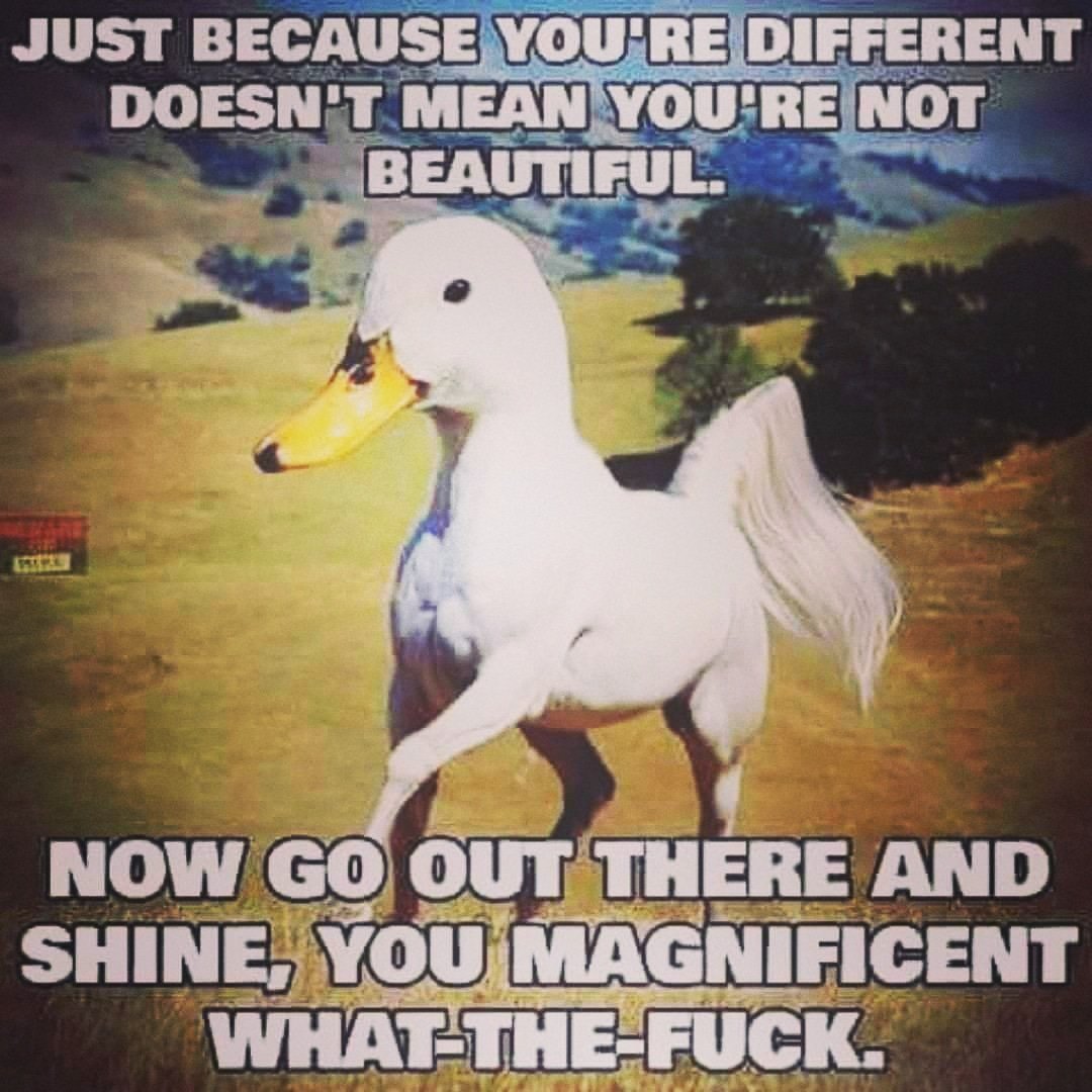 Hinter_Social's tweet photo. You Are AWESOME!
All #Hinters are!

#unicorn
#startup
#DailyNews https://t.co/GYzF3QhDrd