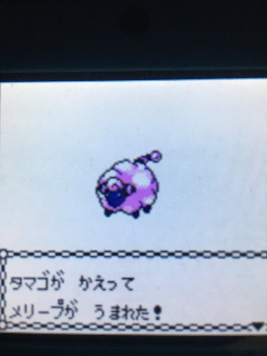 色違いポケモン紹介 Vc産メリープ 自由に生きてあそblog