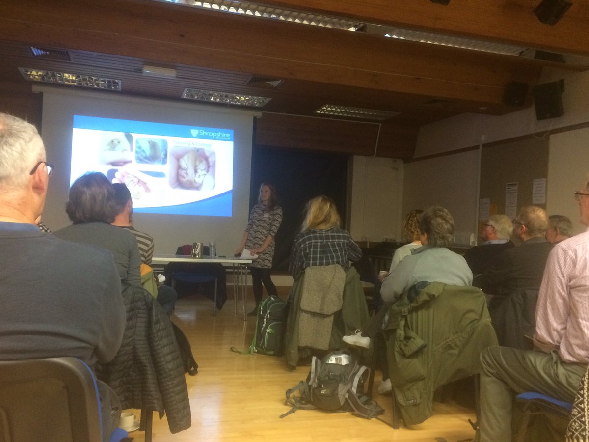 godsacre's tweet image. Caring for God’s Acre are presenting at the Shropshire Ecological Data Network Conference today - lots of interesting talks scheduled. We will be encouraging more recording in burial grounds.