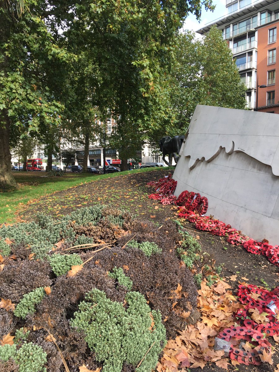 allhungup55's tweet photo. #jillycooper #peterdavies #andrewparkerbowles #alankennard #andrewhiggins #johnsmith
Patrons of #animalwarmemorial please look after this stunning monument thus ensuring respect for the animals
Rotting wreaths 12 months old ! No fresh flowers! Respect takes constant effort https://t.co/E8XSYf2hnG