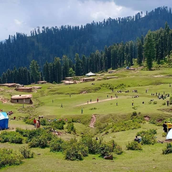 JAfridi10's tweet photo. Cricket 🏏 can be played anywhere if you're passionate enough. This picture was captured 📷 in the beautiful &amp; heavenly Shangla Valley in Pakistan. How's this for a spectacle of a view. 🌲⛰ 😍 #BeautifulPakistan https://t.co/i5jEyxfEcV
