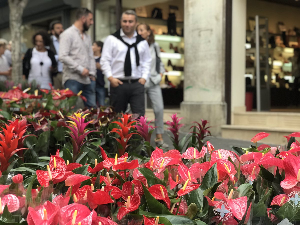 Virgilio_Moreno's tweet photo. Les flors protagonistes de les #FiresInca18 estau tots convidats https://t.co/dE9LrLfwYv