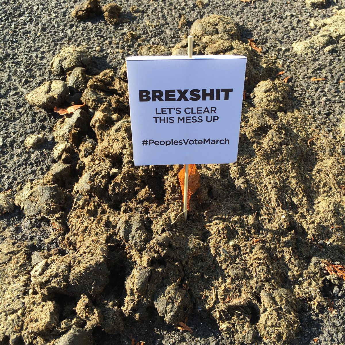 m_sephton's tweet photo. I’ve just made some placards for today’s #peoplesvotemarch and distributed them far and wide #PeoplesMarch #PeopleVote #brexshit https://t.co/zLQj2pqMdv