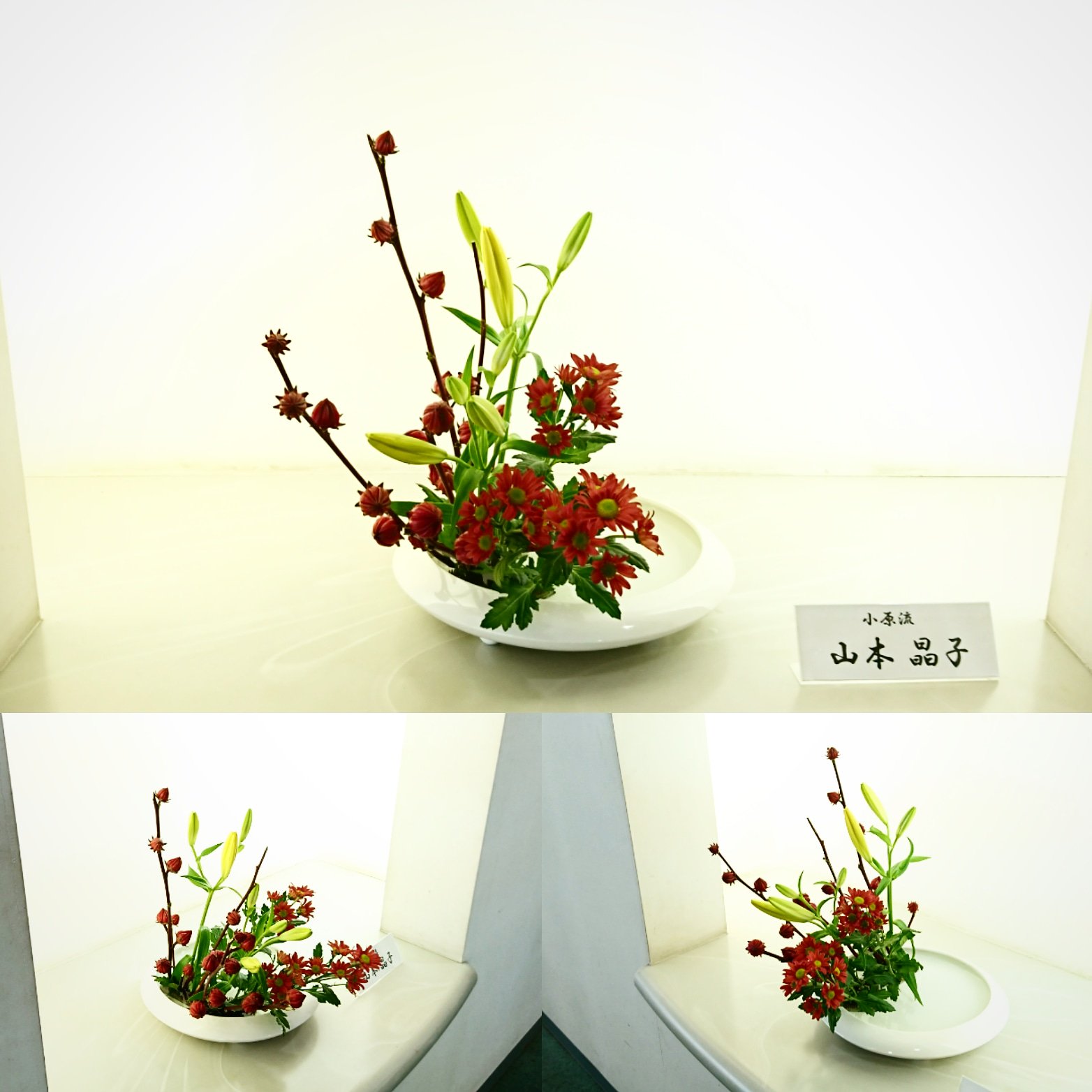 Toyokawa Libgeo 豊川市中央図書館２階通路のお花 小原流 が いけ替わりました 今回の花材は ハッシュタグのとおりです T Co H33kpbxzuq 豊川市 図書館 Library いけばな いけ花 ベニアオイ ローゼル 透かし百合 スプレー菊 T