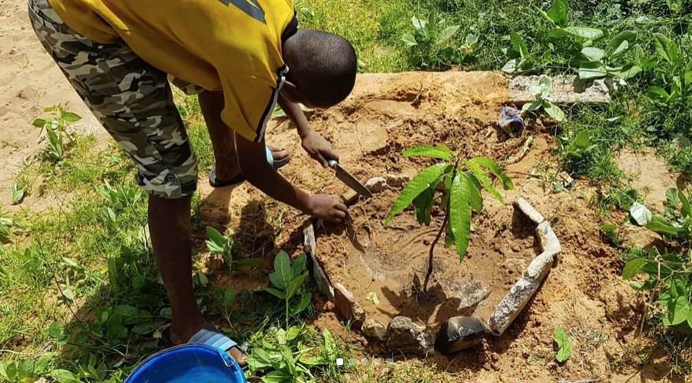Xaleyi_Asso's tweet photo. Activité potager avec les élèves de l'école El Hadj Ibrahima Beye et @2mainsOfficiel 🌿 #JesoutiensXaleyi #Dakar #DKR #humanitaire #children #education #association #XaleyiAsso #Potager #Blessed #Sénégal #Colobane #Medina #Bonheur https://t.co/ozVMrrEPWL