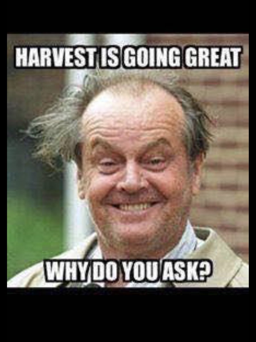 Appropriate and funny