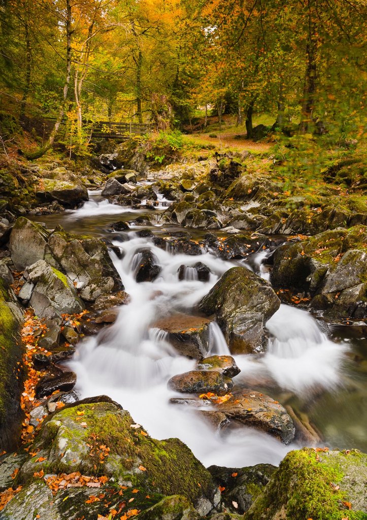 ChurchGreenFoto's tweet photo. Rydal Hall
Here I'm heading away from the teashop up to the waterfalls &amp; old wooden bridge which crosses the stream. https://t.co/m1RqoAKZ3Y