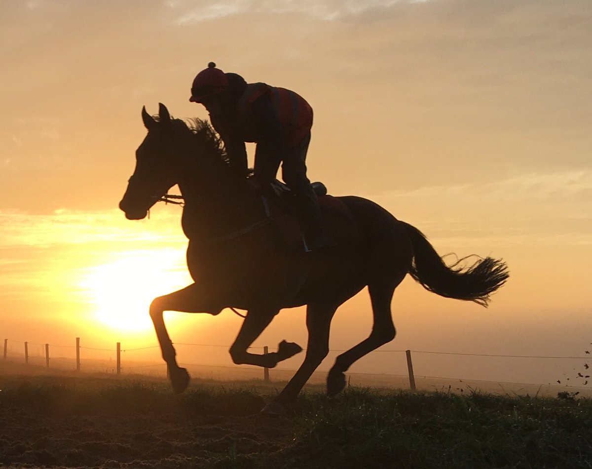 Paul_Nurden's tweet photo. An absolutely gorgeous morning @FOBRacing this morning. This is what getting up early on a Saturday is all about. Nature and beauty, friends and fun. Oh and cake of course #GreatFOBBakeOff https://t.co/1Y9wYacOSR