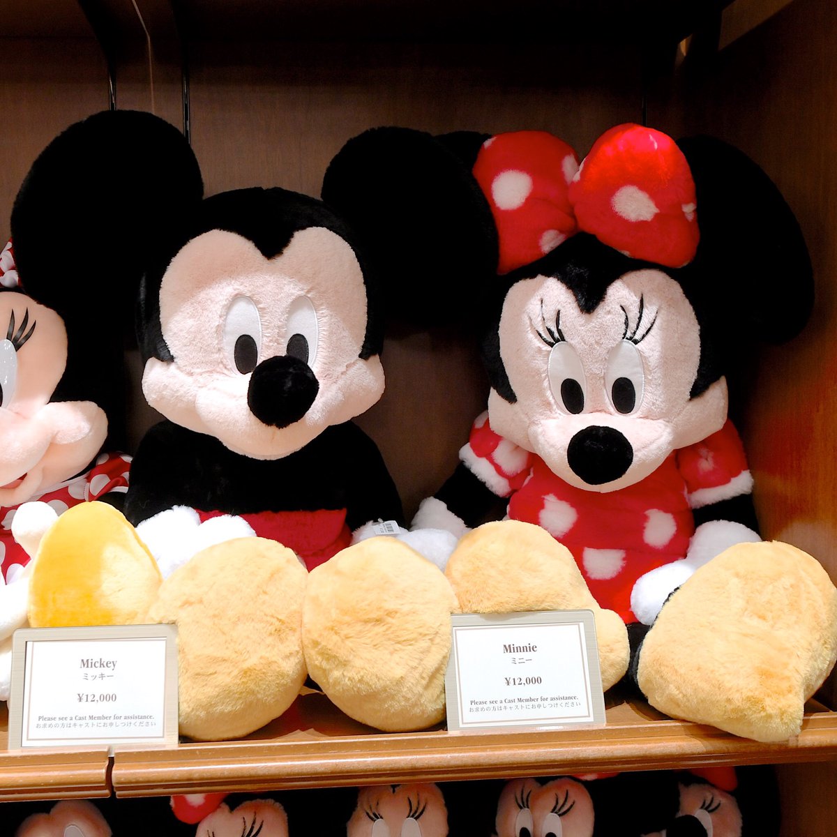 ミニーのフラッフィープラッシー(L) 東京ディズニーリゾート ミッキー