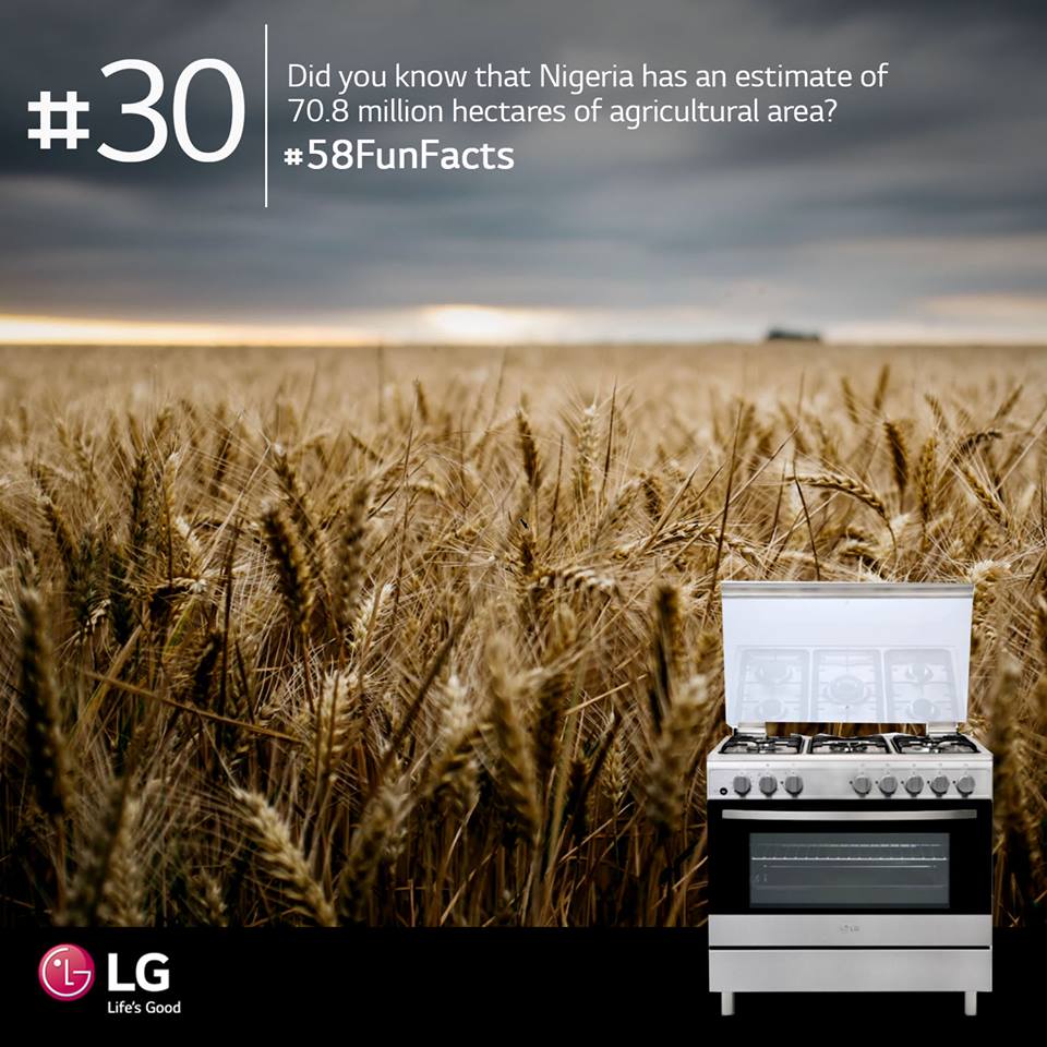 Fouani_Nig's tweet photo. Did you know that Nigeria has an estimate of 70.8 million hectares of agricultural area? From rice to yams and maize, the rich Nigeria land grows a large variety of crops. This supports our numerous and unique food delicacies found across the country. #LG58FunFacts #Naija58 #LG https://t.co/sOMNCantUW