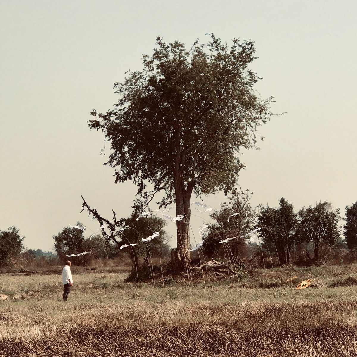 Friends in New York!
 
Graves Without a Name
at the Margaret Mead Film Festival

2018 | 115 min | Cambodia
Director in Attendance

Saturday, October 20 | 4 pm | Program F42
Please Share

#GravesWithoutAName