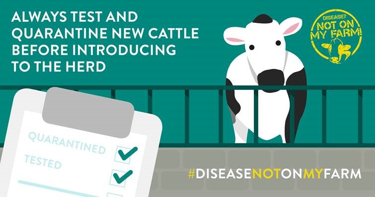 SenseHubGB's tweet photo. If you purchase livestock always check the health status of the animal before you bring it onto your farm. If you’re purchasing from a market, quarantine stock away from your main herd to prevent any disease transfer #BVDFree #BiosecurityMatters https://t.co/FtRSr8JwvI