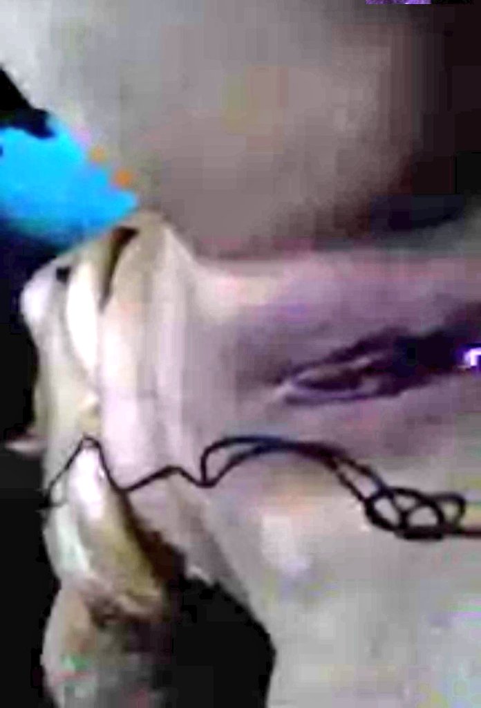 Masturbating while on video call