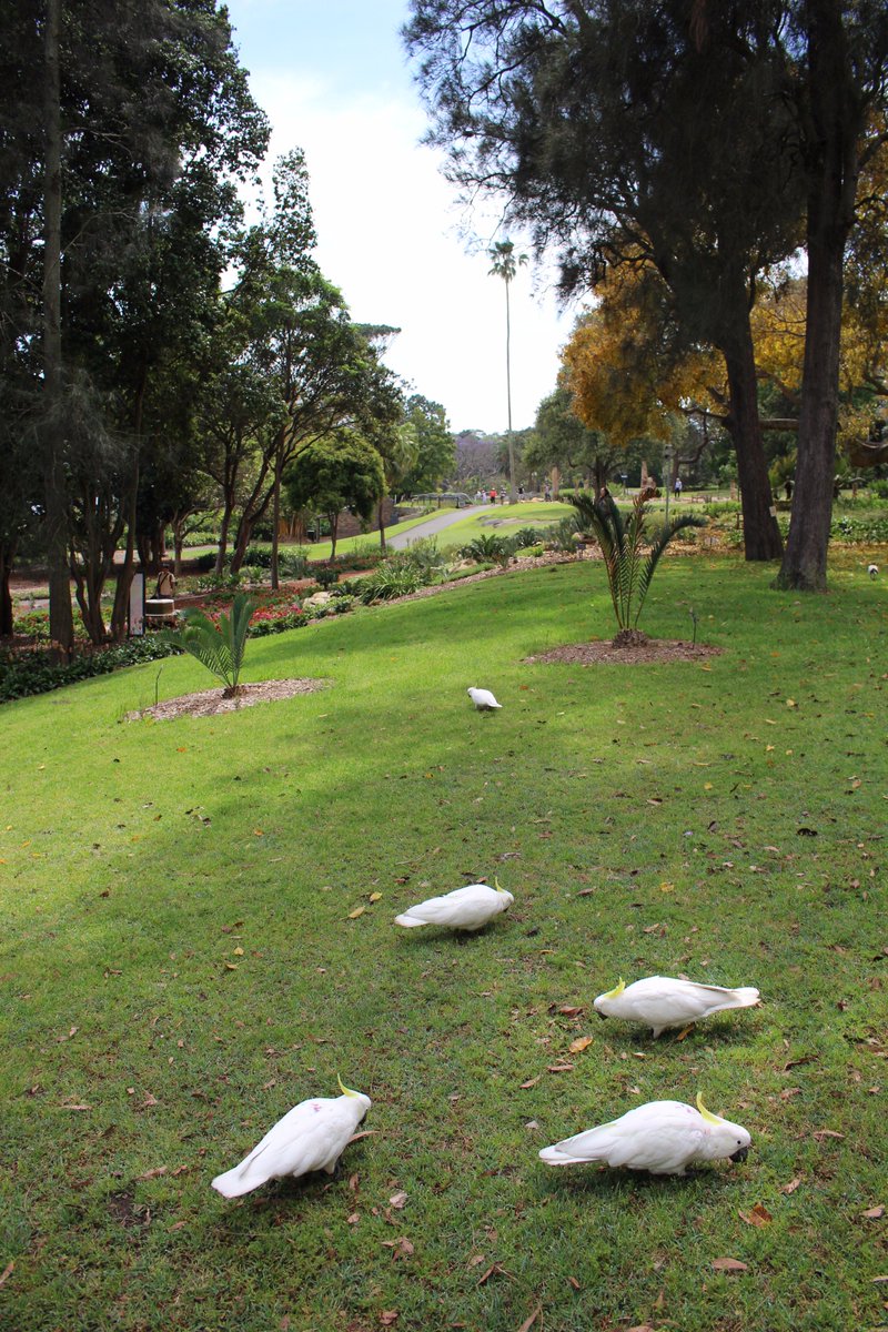 Palm Tree Geeks (PalmTreeGeeks) Twitter