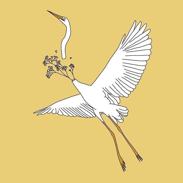 Le_Crime's tweet photo. Illustration @annawandagogusey

#annawandagogusey #illustration #bird #flowers #representedbylecrime https://t.co/vdSXvHU3Ra