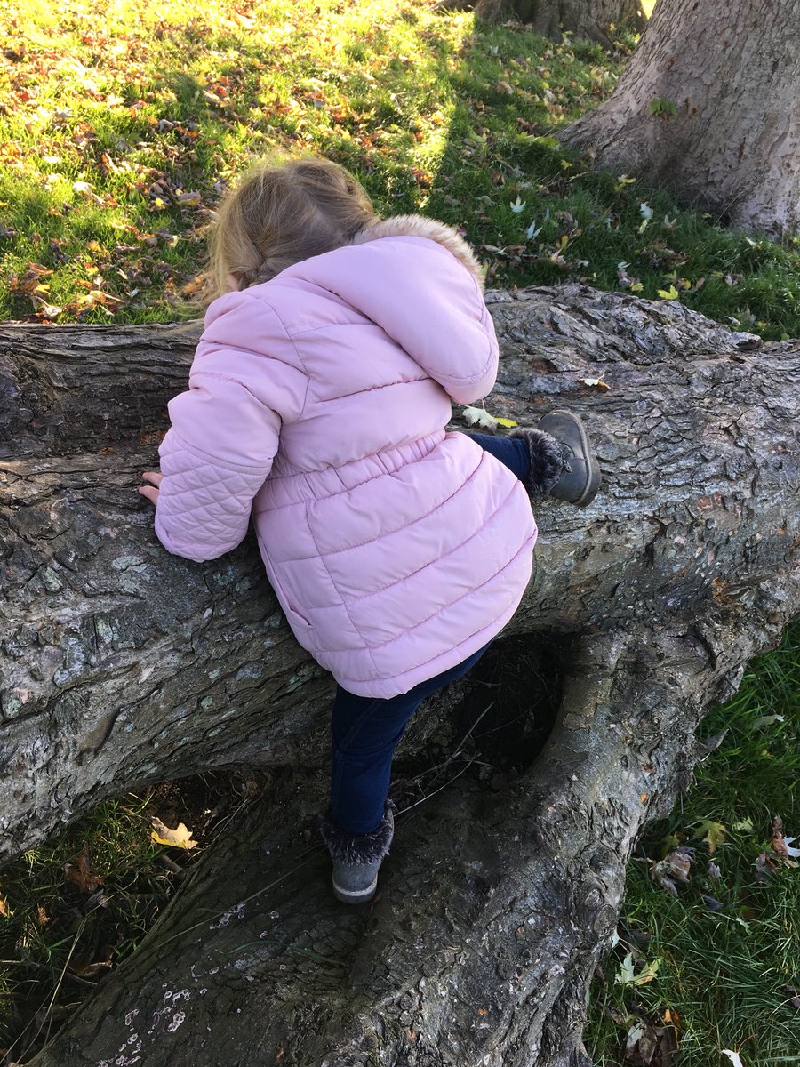 lizziecads's tweet photo. Seizing the season #autumn #sunnydayz #hills #leafshadows #largelogs https://t.co/TCT4r1hXub