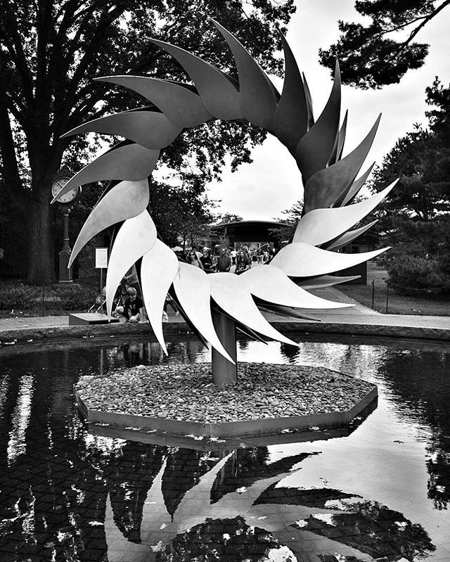 pauloy's tweet photo. in the garden
.
.
.
#newyorkbotanicalgarden #visionsofhawaii #georgiaokeeffe #markchai #visualsoflife #justgoshoot #stayandwander #mobilefolk #main_vision #createexplore #hubs_united #pixel_ig #photographyislife #photographyeveryday #streetdreamsmag #modernoutdoors #AGameof… https://t.co/tAJ3fQ0CIP