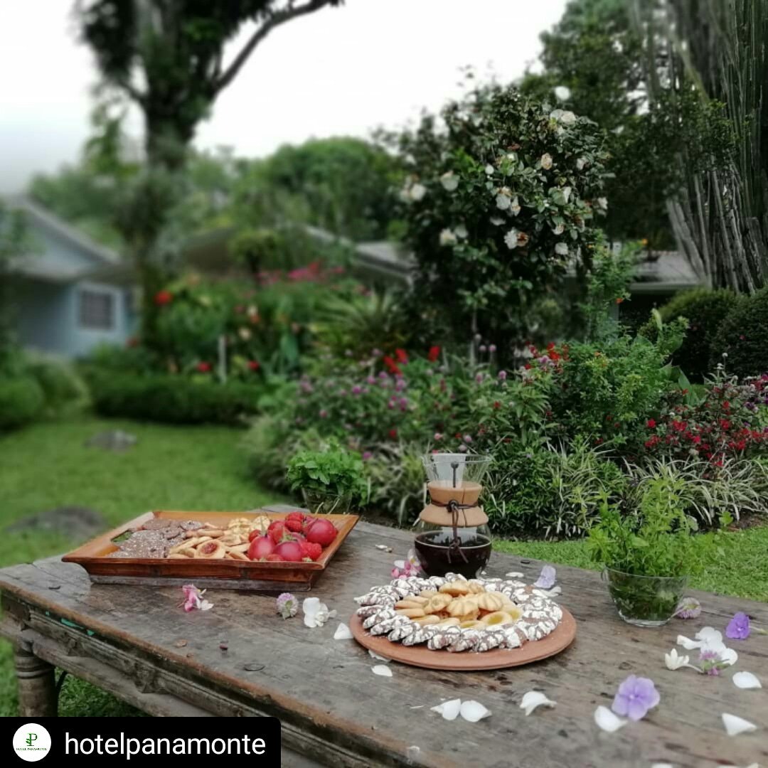 #Repost <a href="/hotelpanamonte/">HOTEL PANAMONTE</a>
• • • • •
Acompañado de un hermoso ambiente y que mejor que con una  deliciosa taza de café Panamonte Blend y galletas recién horneadas 
#cookies #tardesdete #coffee #ambiente #visitpanama #visitboquete  #boqueteando #cocinadeautor #amorporlacocina