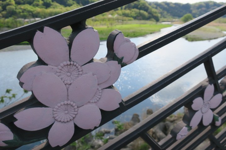 Sasakawa USA tweet media