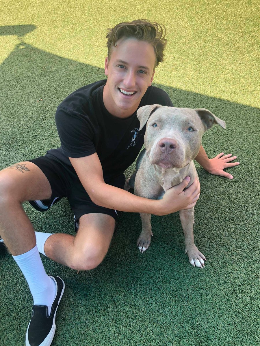 Orlando-Urgent Dogs tweet media