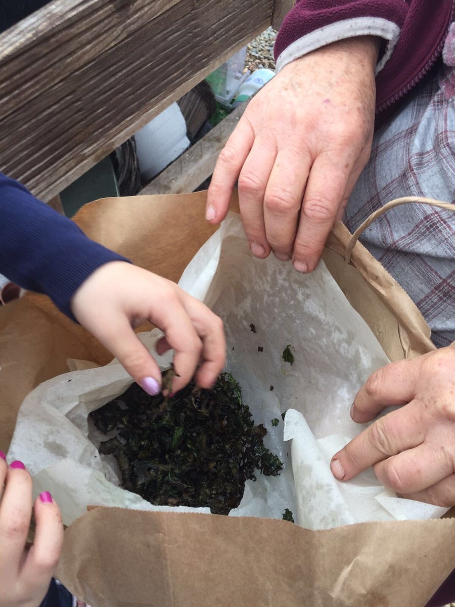 Cope Foundation (CopeFoundation) Twitter