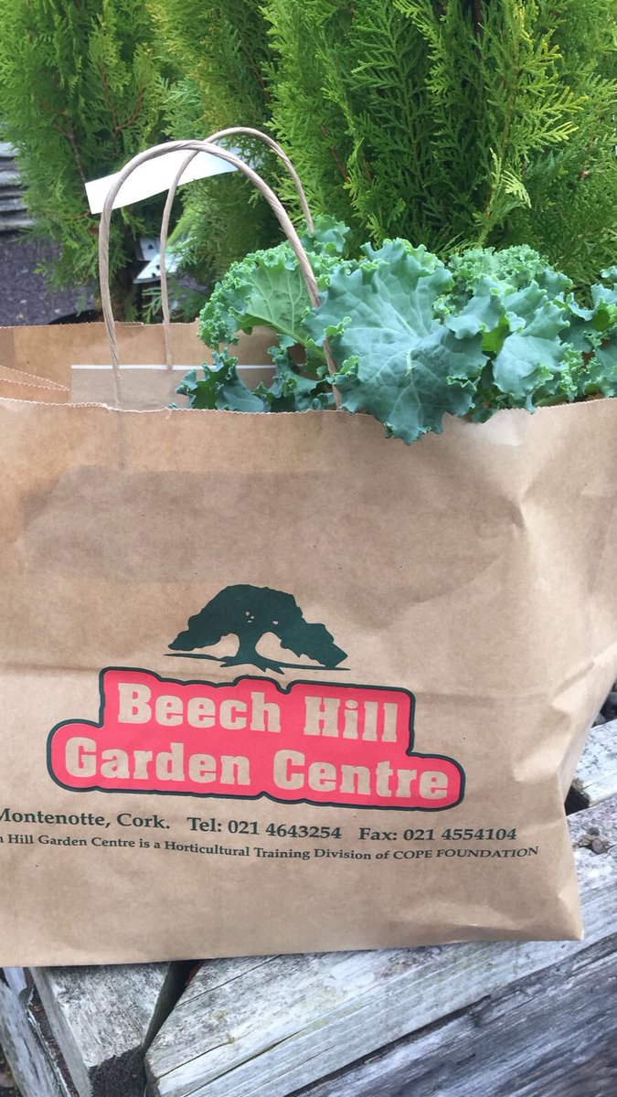 Cope Foundation (CopeFoundation) Twitter