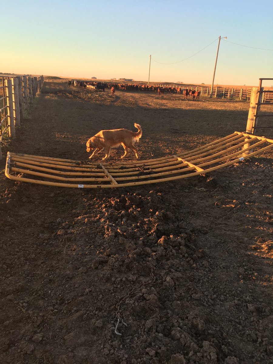 silagechopper's tweet photo. #fallrun18 https://t.co/Cl8fgoQ7A2