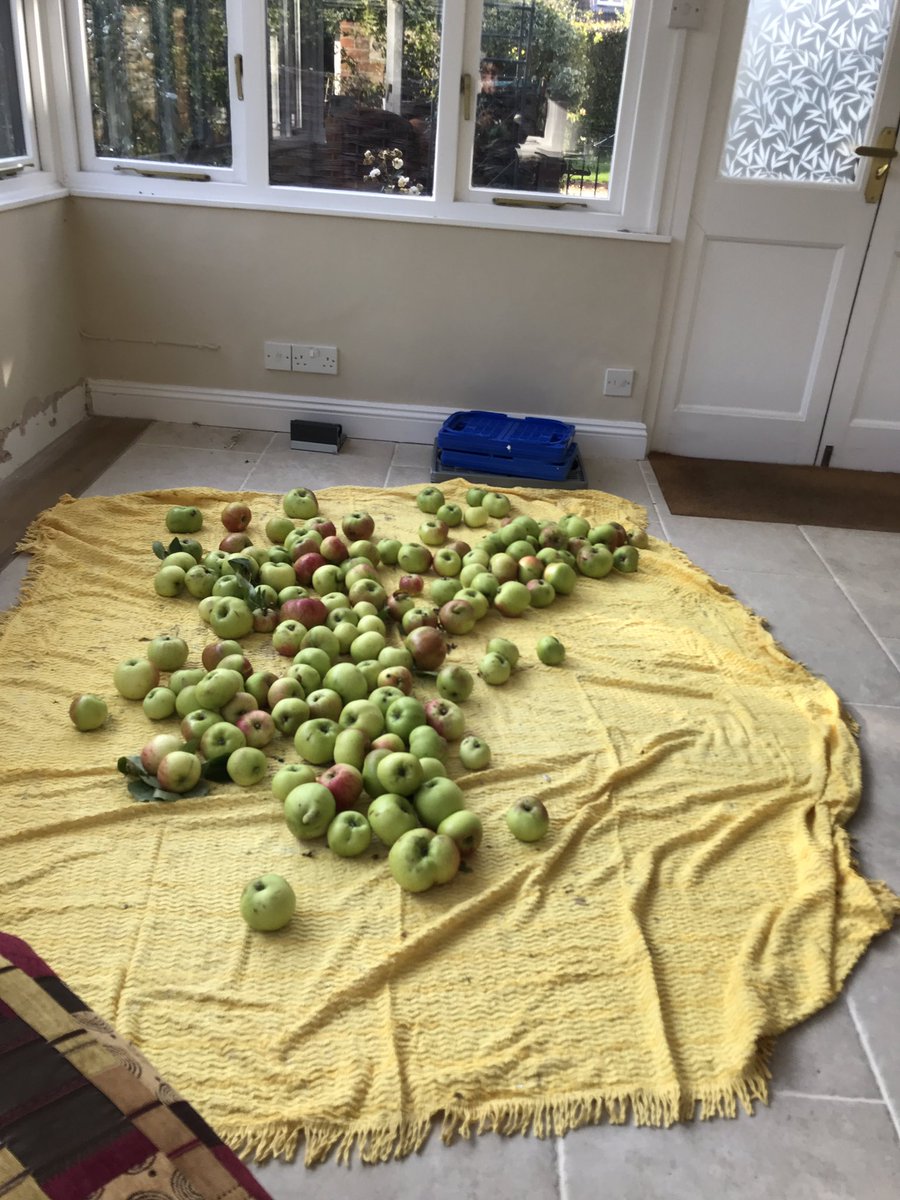 Need to dry them out....