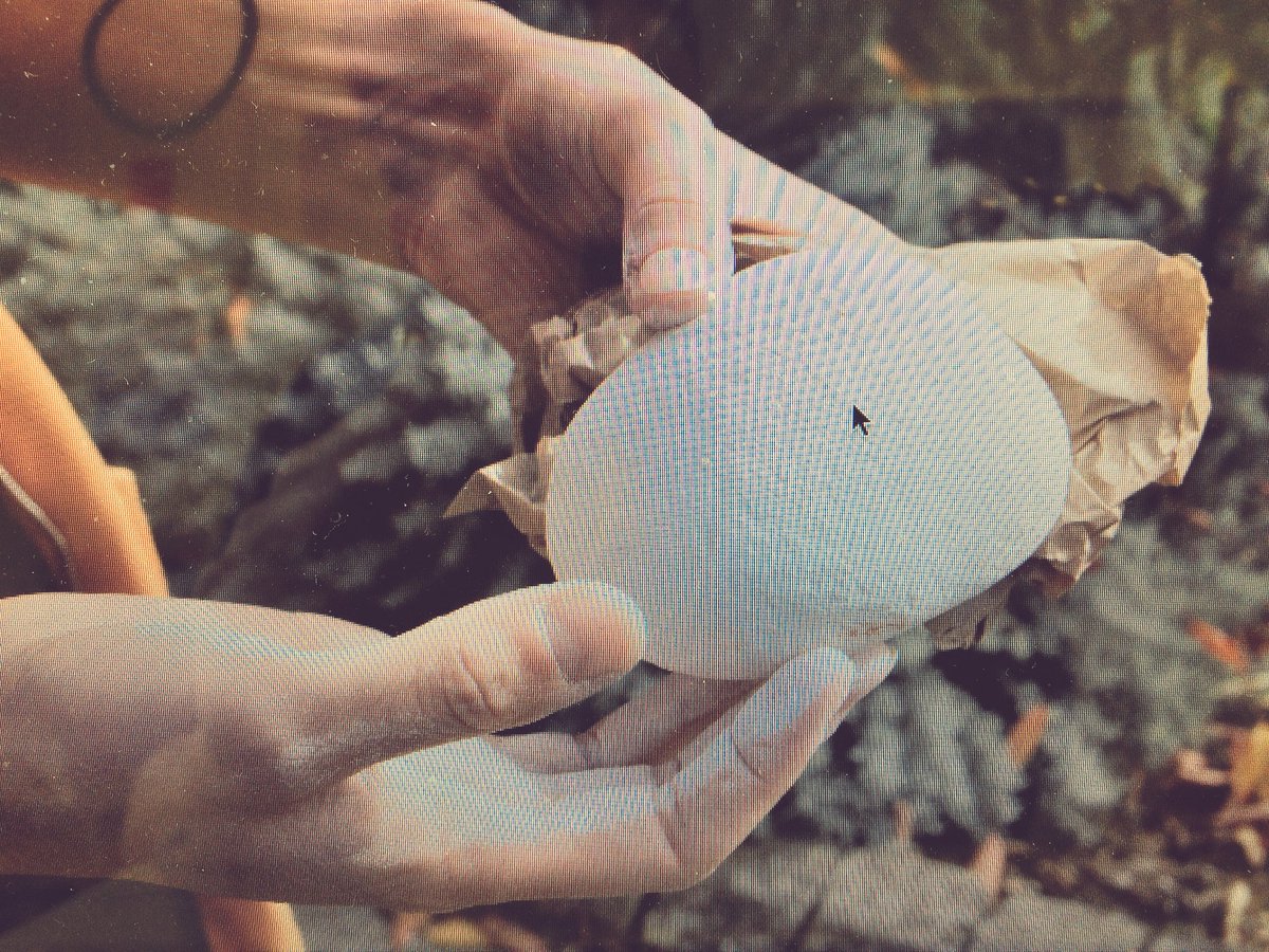 captured from today’s walk and talk in #leebank #birmingham // thinking around edges, entry, barriers, and boundaries // <a href="/re_connections/">Re:connections</a> part two adding layers to the sensory map w/ <a href="/clairemhickey/">Claire Hickey</a> and @JRPeevers