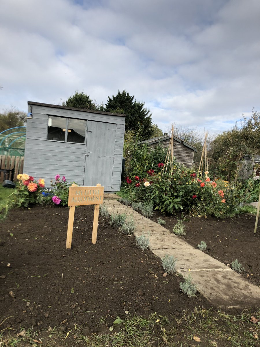 My little Allotment tweet media
