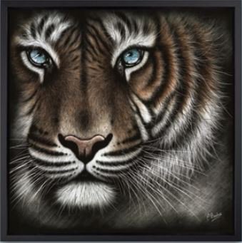 London_Row's tweet photo. Colin Banks @colinbanksart "Pause for thought" Limited Edition - Dye Sublimation on Aluminium 😍 Exotic wildlife at it's best. #colinbanks #wildlife #tiger #lion #aluminiumart #wowfactor #limitededition https://t.co/wu1Z0GyNIJ