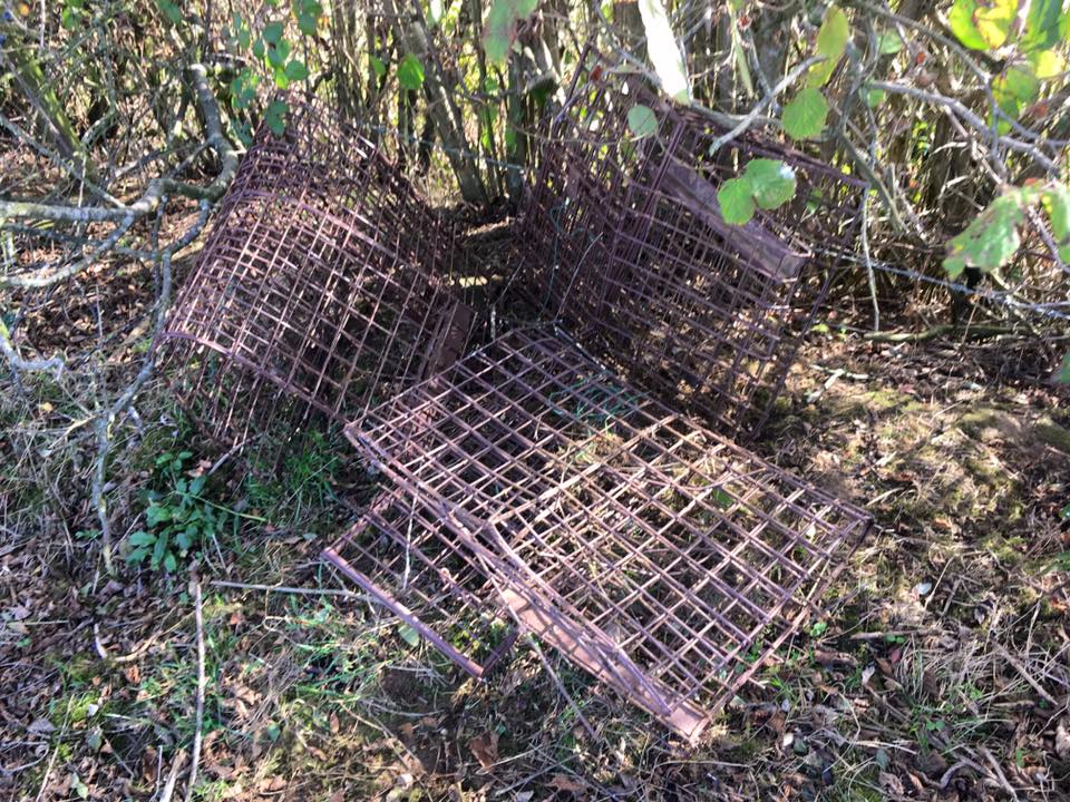 SO MANY PEANUTS

Like seriously, that's a lot of peanuts. In a cage directly on top of a sett. Is someone getting desperate? You're about to get even more desperate, oops squished cages. #StopTheCull #sabthecull #fuckthecull

paypal.me/fuckthecull1