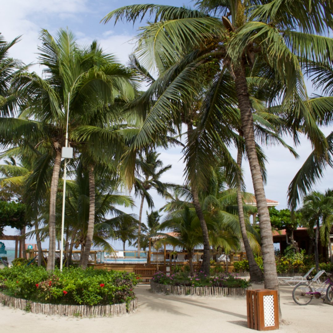 HotelSunBreeze's tweet photo. Ready for a holiday?Book your stay on the sunny island of San Pedro! https://t.co/99r9Ty57EW https://t.co/77dIcouSds