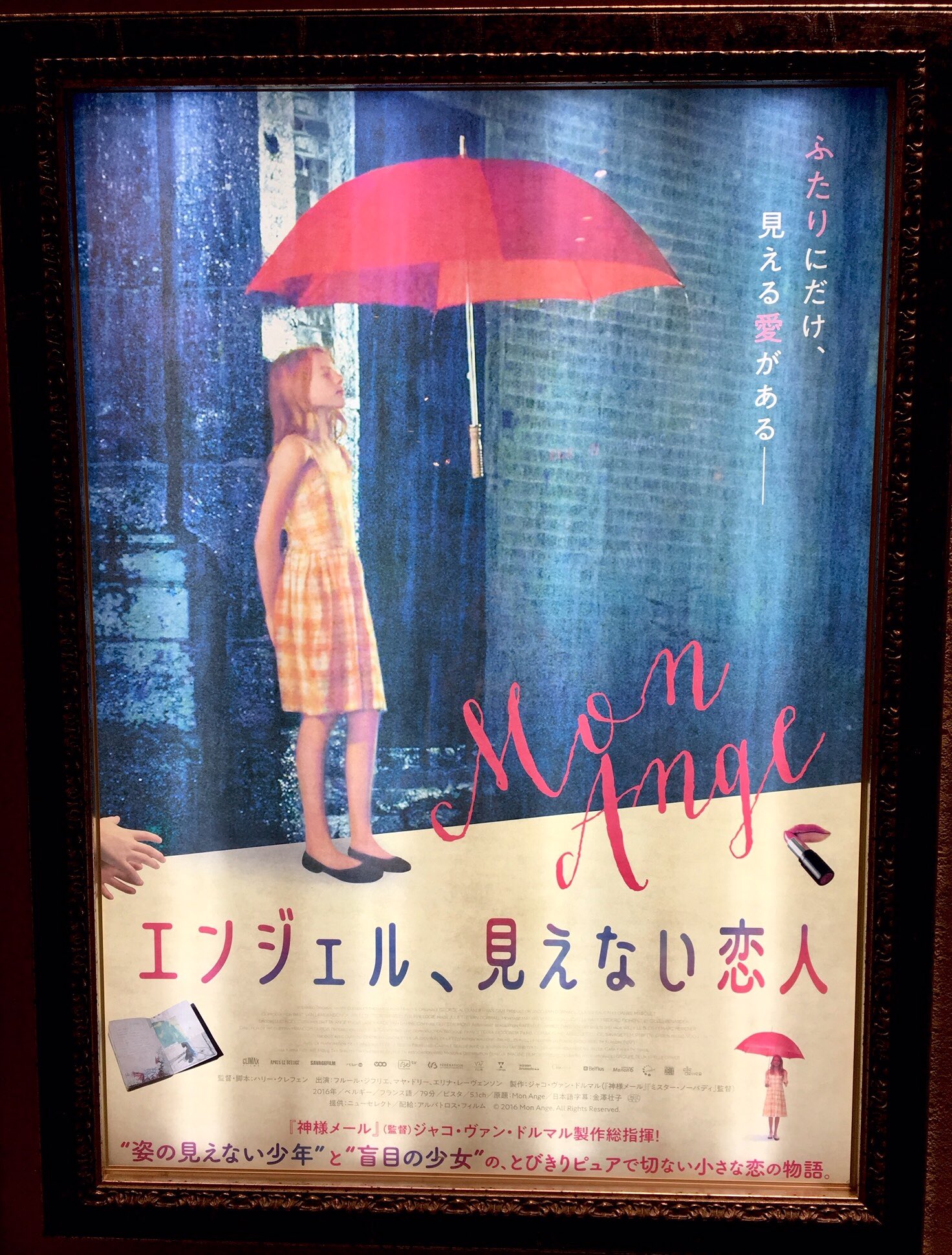 Kiko エンジェル 見えない恋人 鑑賞 美しいお伽噺のような フェティッシュでドキドキする映画でもあった 歌舞伎4時間見た後に見たので ちょっとうつらうつらしてしまったf つまらない訳じゃなくて 映像や音楽 フランス語の響きがものすごく