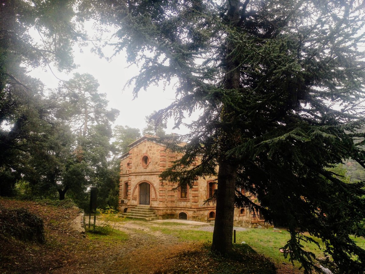 EvaPomares's tweet photo. El barranc del Titllar, amb l'antiga casa forestal enmig del bosc de #Poblet, resplandent avui per la #pluja Quin goig de #teixedes #grèvol pi roig i molses! Bona ruta del #PNINPoblet @parcscat @MonestirPoblet https://t.co/9KLBOwN3O1